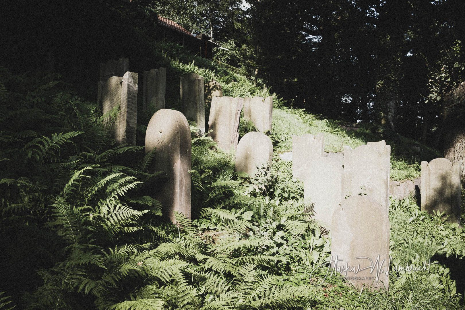 Adelebsen, Jüdischer Friedhof